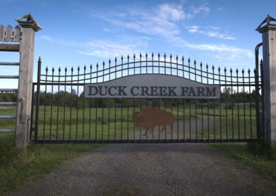 Duck-Creek-Bison-Farm-front-gates-Ontario-Canada