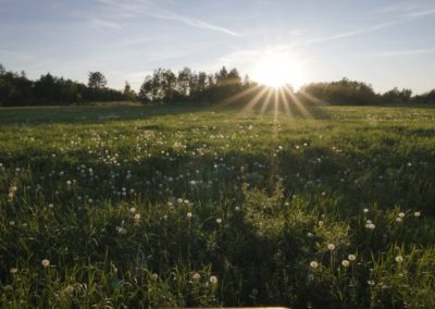 Wide-Open-Field-Sunset-Farm-Trees-Canada